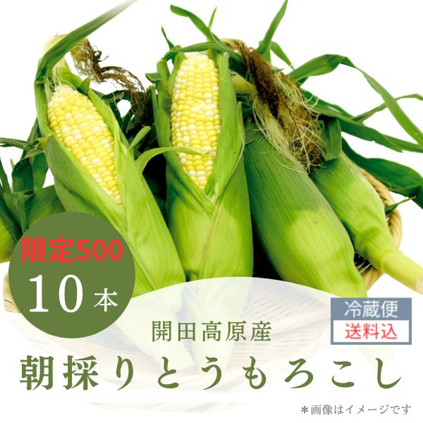 413:朝採りとうもろこし10本セット(送料込)の画像