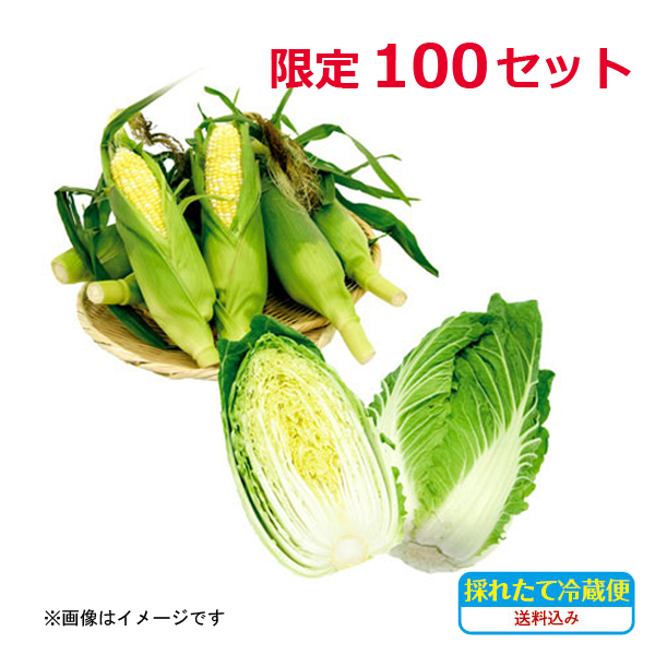 411:白菜＋朝採りとうもろこしセット(送料込)の画像